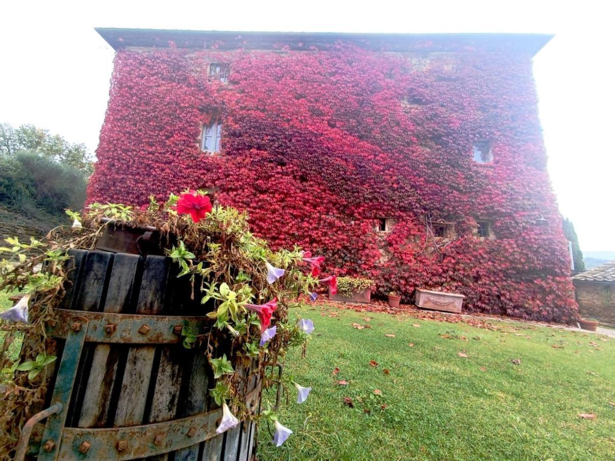 Locanda Di Santantimo Bed & Breakfast Chiassa Superiore Bagian luar foto